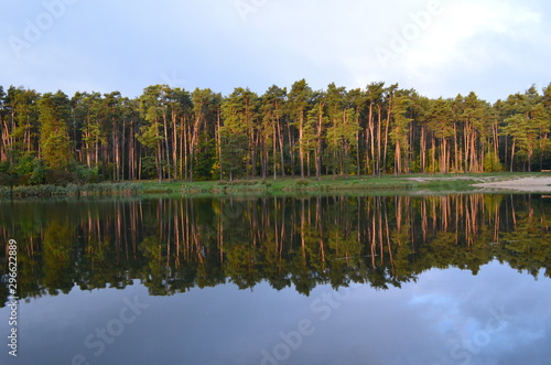 Staw Amerykan w Złotym Potoku jesiennym porankiem, Jura krakowsko-Częstochowska, Polska photo