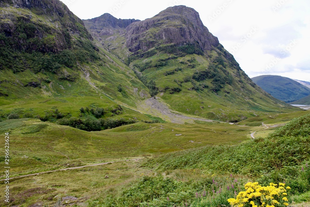 Naklejka premium scotish hillside rolling hills scotland