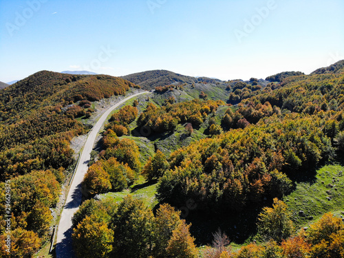 aerial shot of a yellowed road in the Italian autumn season