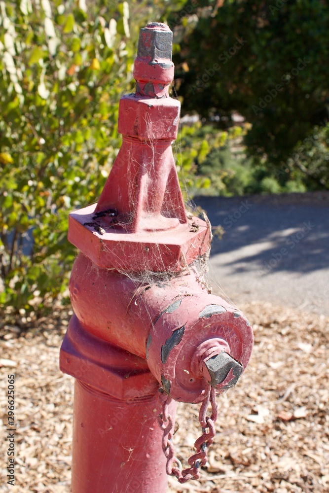 red fire hydrant with spiderwebs california red fire hydrant with spiderwebs california