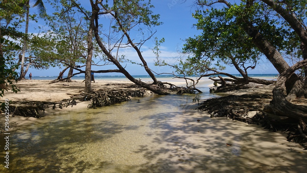Dominican natural Beach