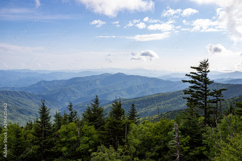 View of the Great Smoky Mountains from Clingman's Dome