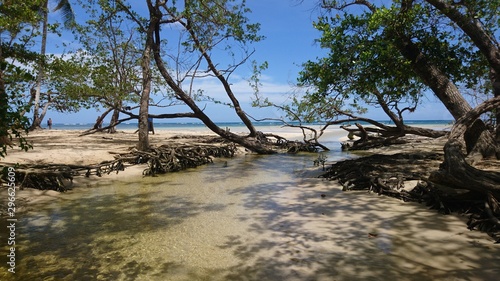 Dominican natural Beach