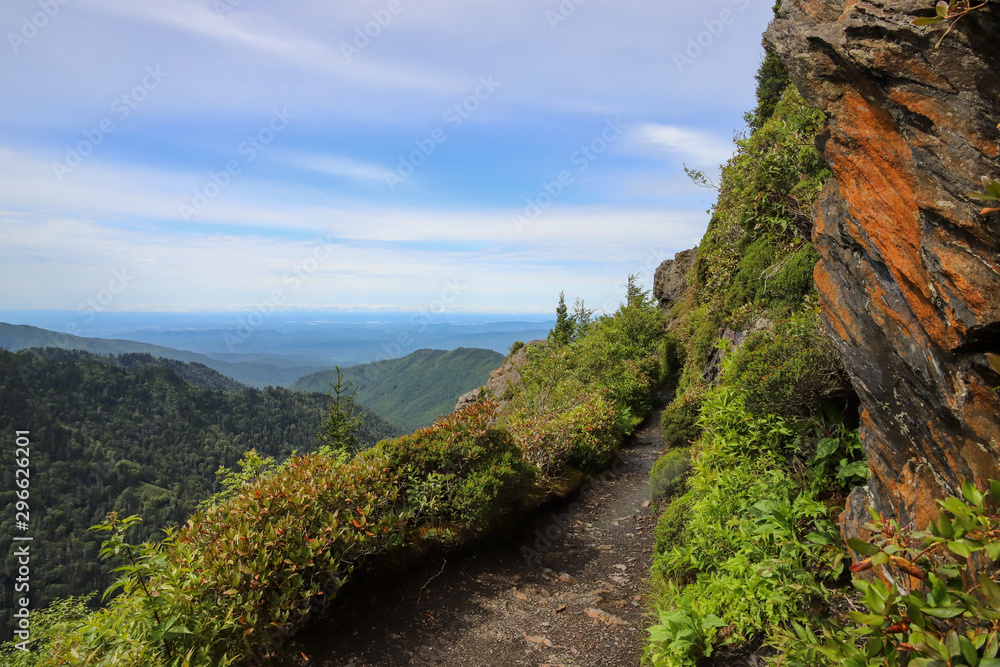 Path to Charles Bunion on the Appalachian Trail