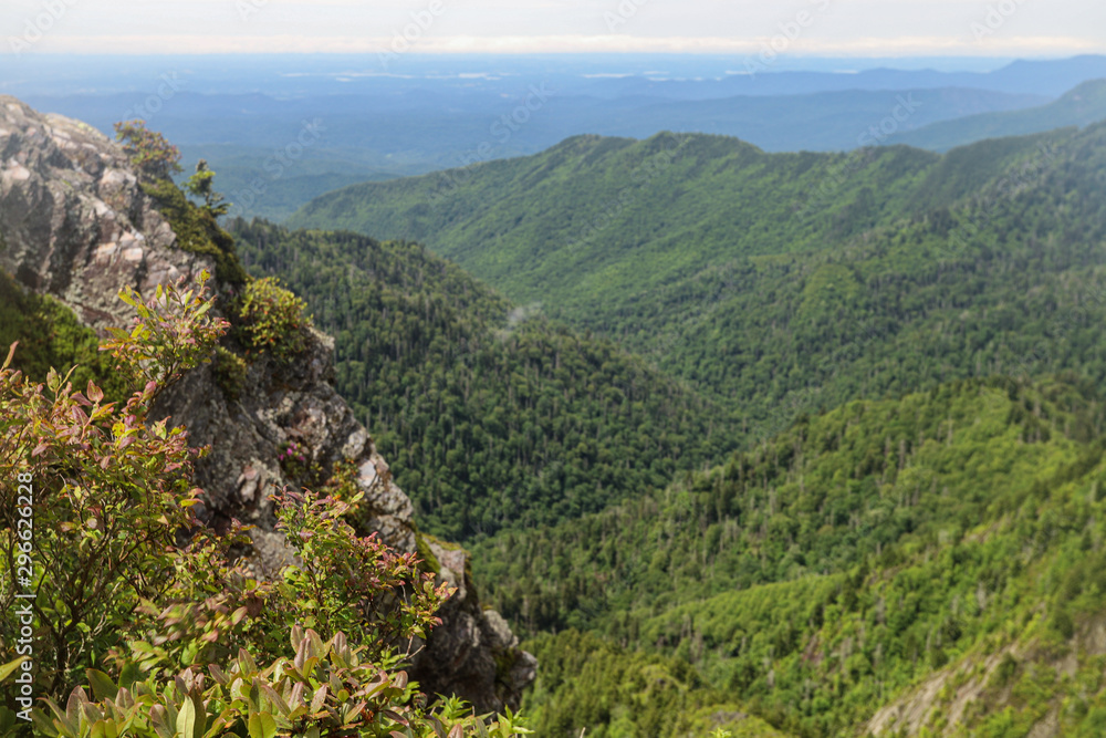 View from Charles Bunion on the Appalachian Trail, Great Smoky Mountains