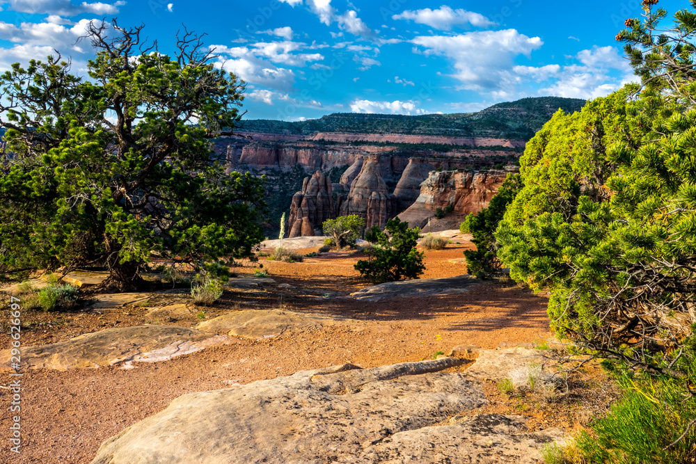 This is a view from the plateau of the Colorado National Monument, looking down into the canyon.

