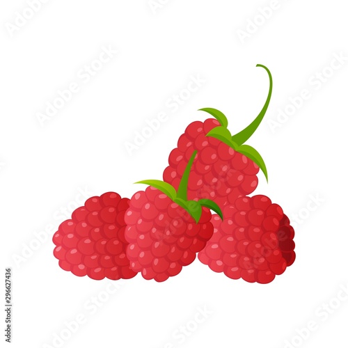 Raspberry isolated on white background. Raspberries. Forest berry. Vector Illustration