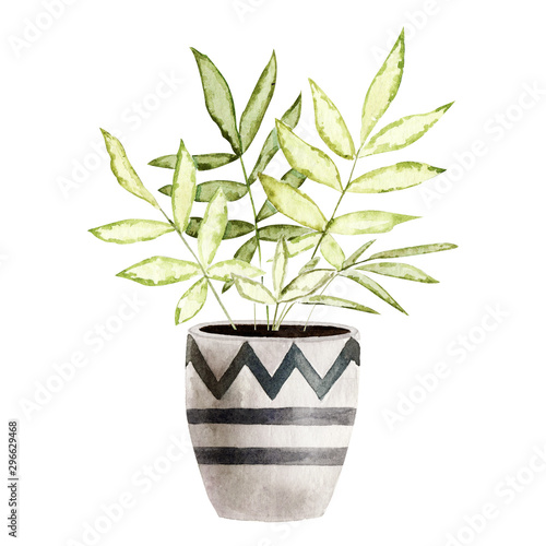 Watercolor houseplants isolated on white background. Best for scrapbooking, interior sketching, wallpaper, prints, fabric design, textile, posters. Hand painted illustration. Trendy greenery