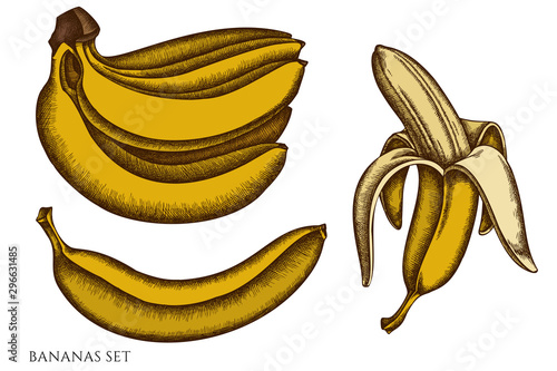 Vector set of hand drawn colored bananas