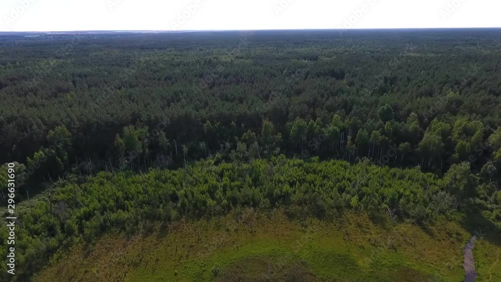 Aerial view of a forest lake Aerial view of a forest lake
