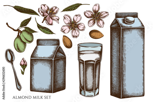 Vector set of hand drawn colored almond, glass, milk boxes, teaspoon