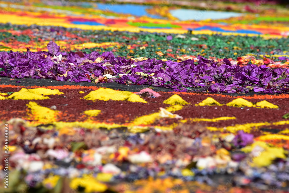 Obraz premium Infiorata