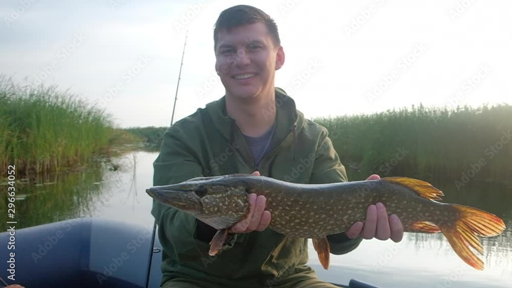 Happy angler holds the Northern pike fish (Esox lucius) in hands being on the lake at sunrise Happy angler holds the Northern pike fish (Esox lucius) in hands being on the lake at sunrise