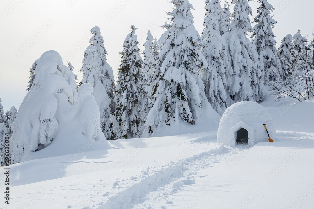 The wide trail leads to the snowy igloo. Winter mountain landscapes. Location place the Carpathian Mountains, Ukraine, Europe. The wide trail leads to the snowy igloo. Winter mountain landscapes. Location place the Carpathian Mountains, Ukraine, Europe.