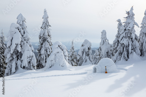 Igloo covered by snow stands on the lawn. Winter scenery in the sunny day. Snowy background.