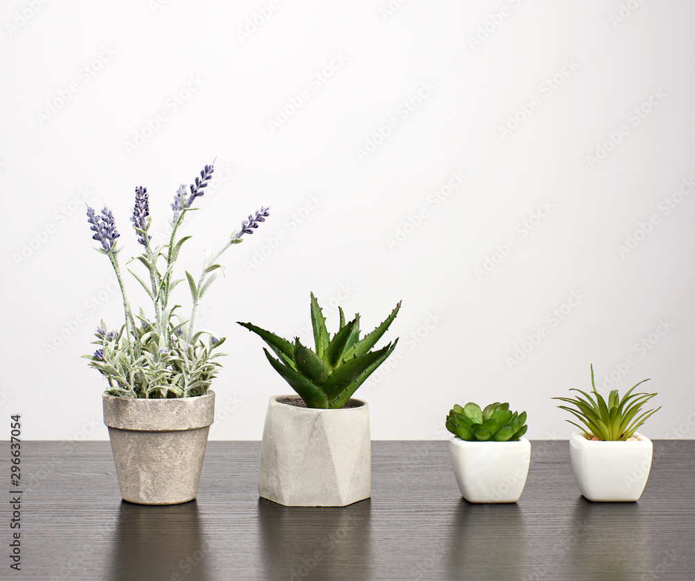ceramic pots with plants on a black table, white background ceramic pots with plants on a black table, white background