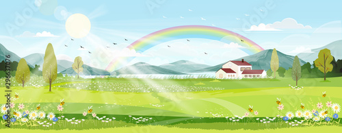 Vector Spring landscape with farm field, wild floers, blue sky and rainbow, Spring or Summer background concept