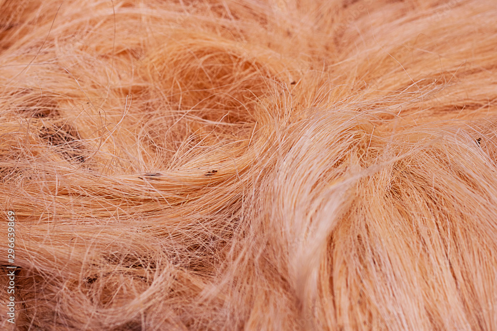 Obraz premium Rough natural raw plant fiber. Detail, closeup. Horizontal. red tone. Wallpaper and background about fabtic manufacture, eco friendly material and textile industry.