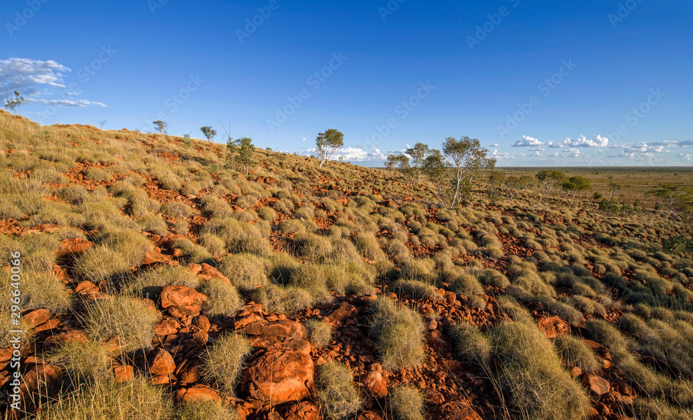 Large meteorite crater at the outback Australia – Wolf Creek crater with spinifex grass and boulders and blue sky as background in the morning sun - obrazy, fototapety, plakaty 