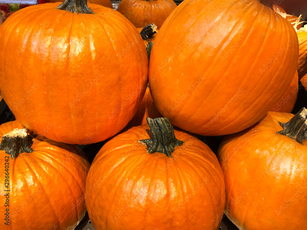 Five big pumpkins. Halloween concept. Five big pumpkins. Halloween concept.