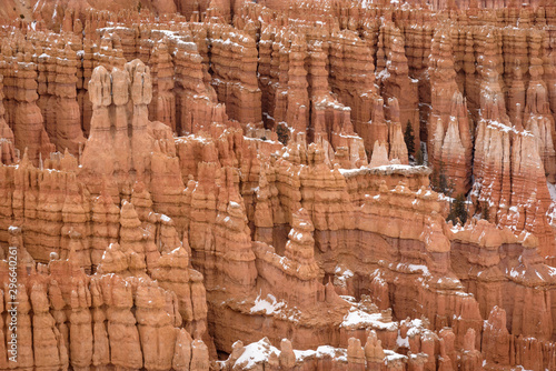 Close Up of beautiful snow covered mountains during the freezing winter period in Bryce  Canyon National Park  Utah  United States of America