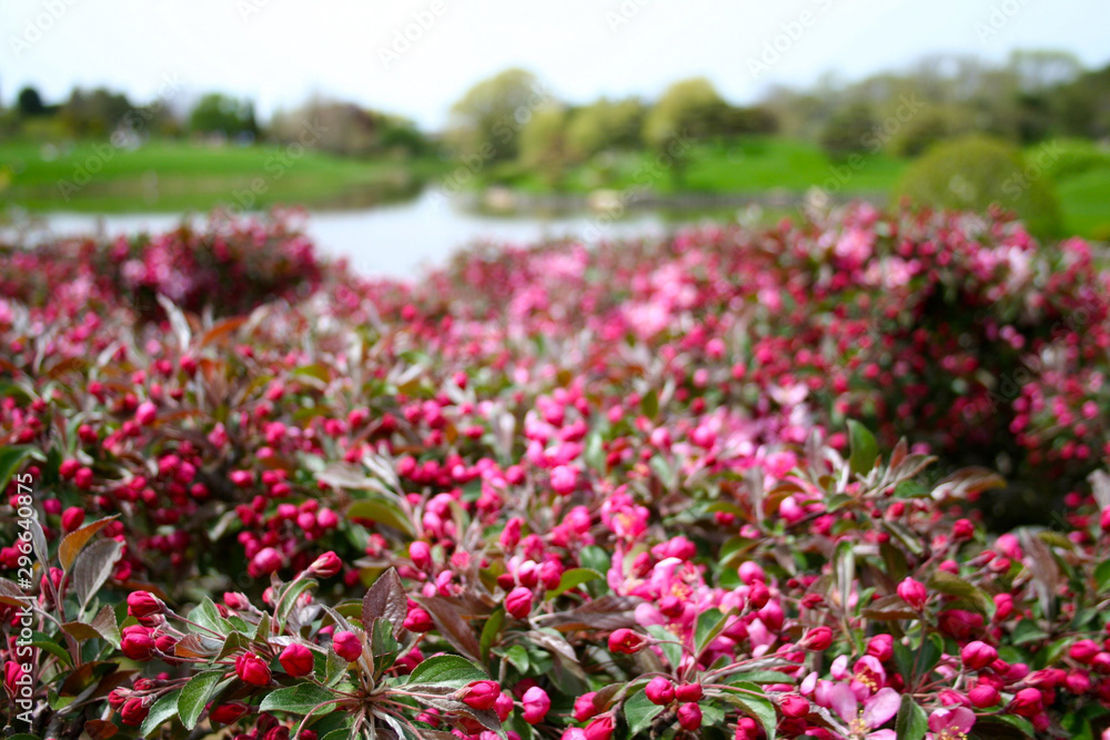spring view spring view