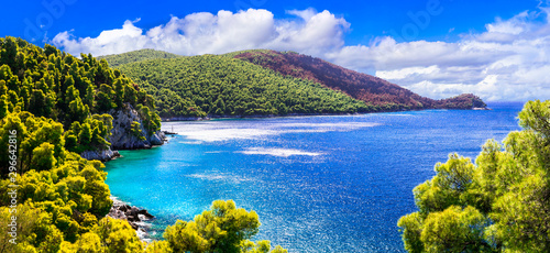 Canvas Print Amazing nature of Greece - beautiful green Skopelos island with gorgeous sea
