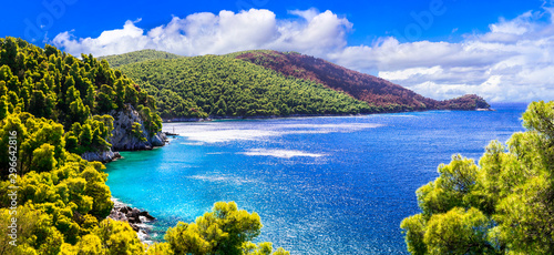 Amazing nature of Greece - beautiful green Skopelos island with gorgeous sea. Sporades