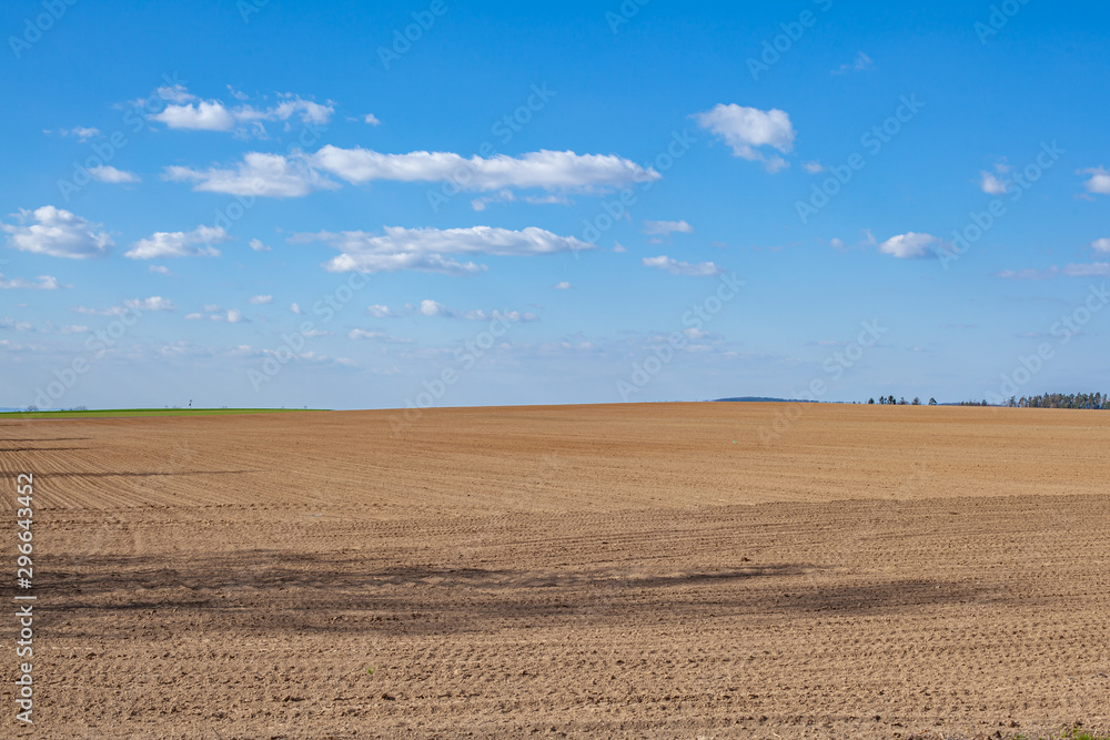 natural scenery in Europe. Fields and trees along the road natural scenery in Europe. Fields and trees along the road