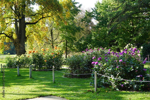 Beete mit Blumen