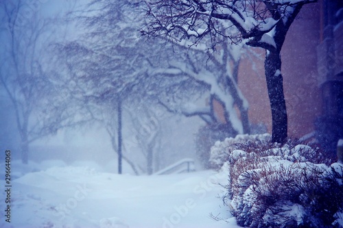 winter landscape with trees and snow