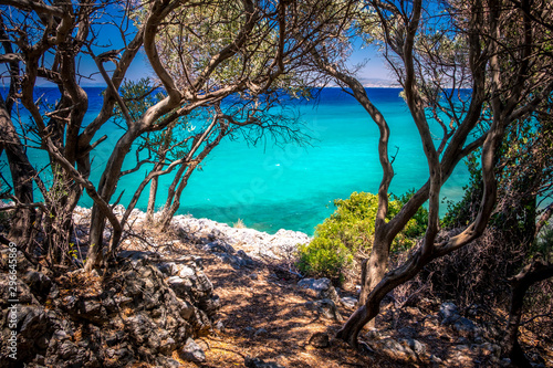 Fototapeta Naklejka Na Ścianę i Meble -  Milli Park, Dilek National Park, Kusadasi, Turkey. Pine trees and sea