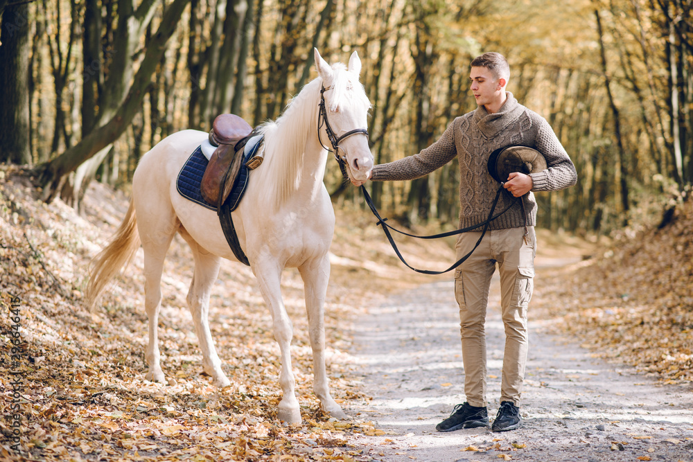 Young man drives a helmet for riding. Riding a white horse Young man drives a helmet for riding. Riding a white horse
