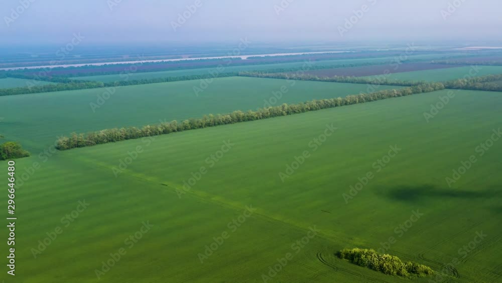 Aerial View Of A Green Wheat Or Rye Spring Field . Concept Of Agriculture Aerial View Of A Green Wheat Or Rye Spring Field . Concept Of Agriculture
