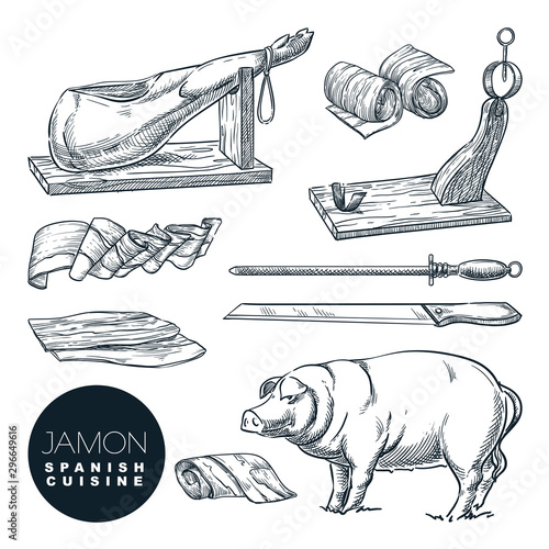 Delicious iberian pork jamon leg and cutting tools. Sketch vector illustration of Spanish gourmet cuisine photo