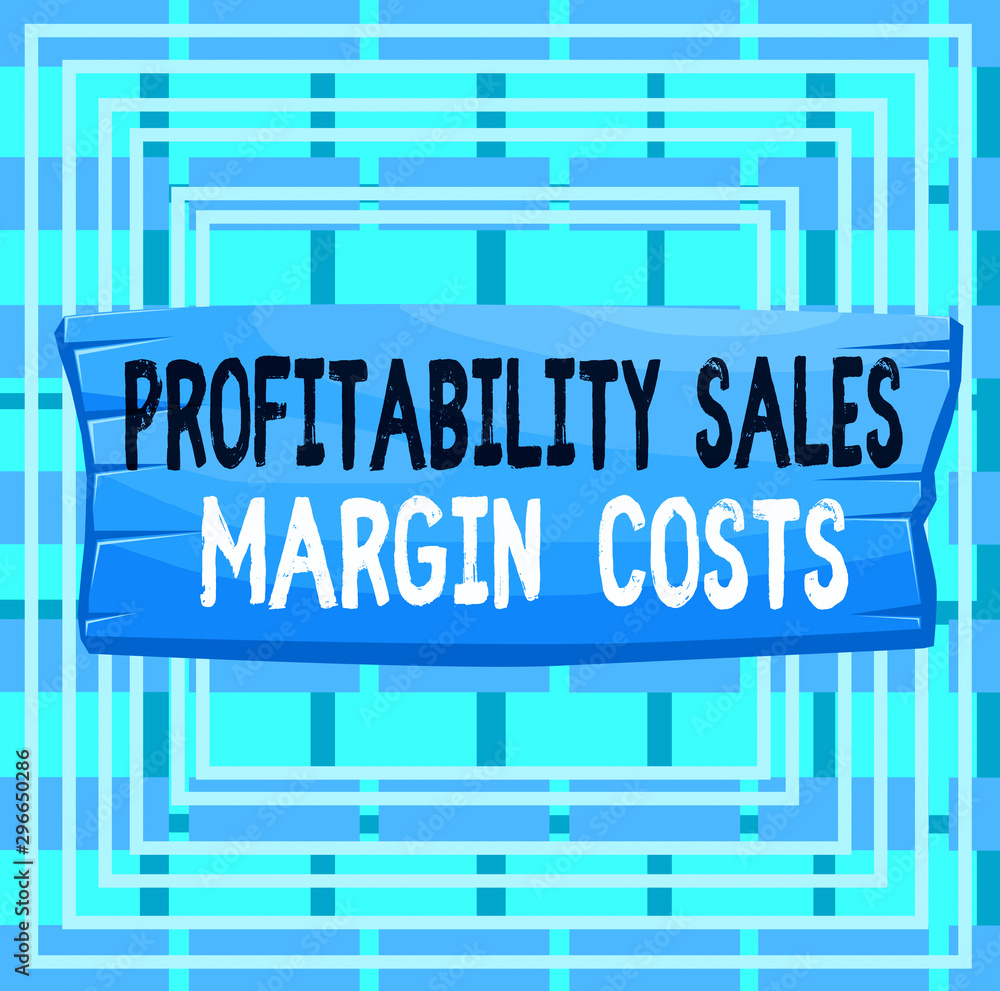 Text sign showing Profitability Sales Margin Costs. Business photo text Business incomes revenues Budget earnings Plank wooden board blank rectangle shaped wood attached color background