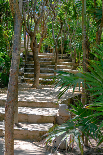 escaleras en medio de la selva  lugar para descansar