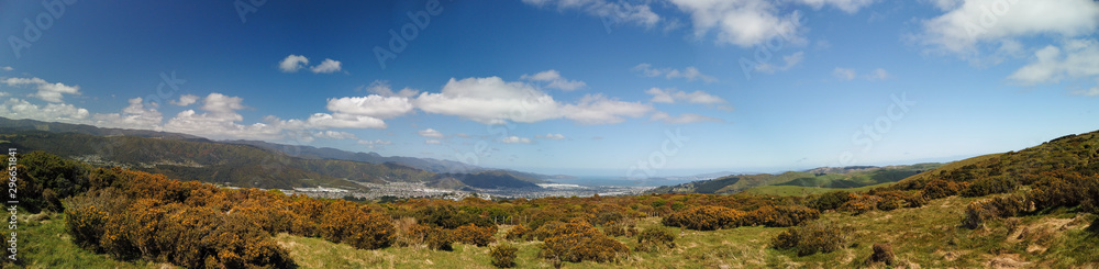 Panorama of the hills over Belmont Regional Park near Wellington, New Zealand