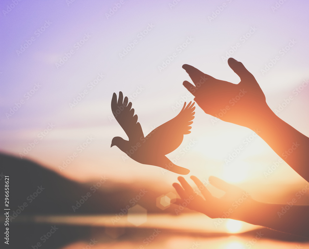 Woman praying and free bird enjoying nature on sunset background, hope concept .soft focus picture.cinematic tone - obrazy, fototapety, plakaty 