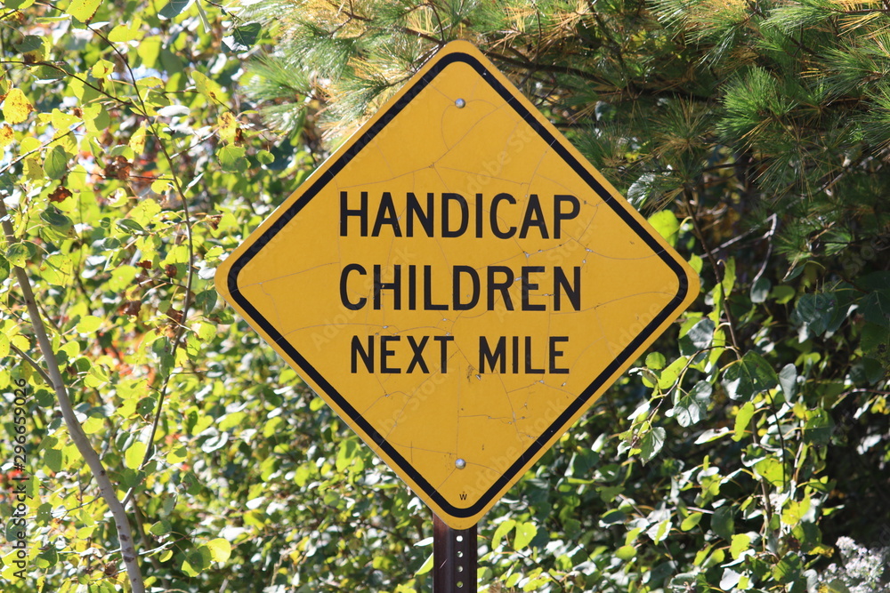 Handicap Children sign in summer foliage