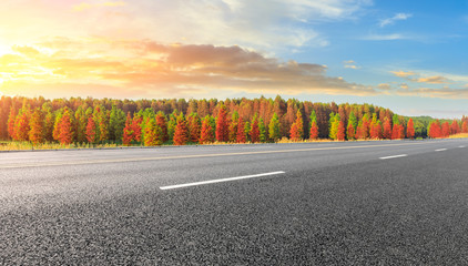 Empty asphalt road and beautiful colorful forest in autumn