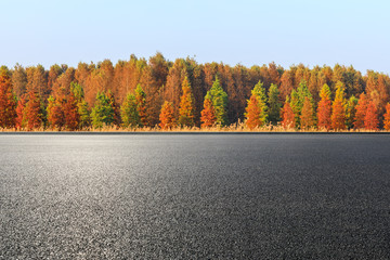 Empty asphalt road and beautiful colorful forest in autumn