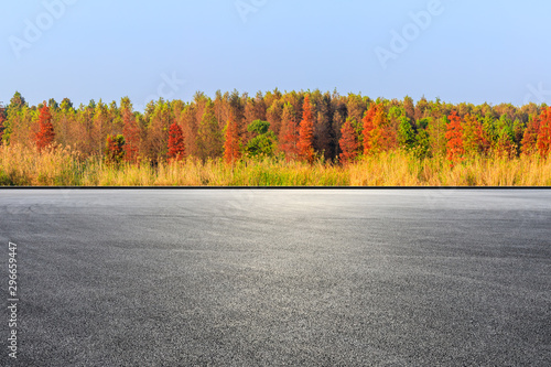 Empty race track ground and beautiful colorful forest landscape in autumn