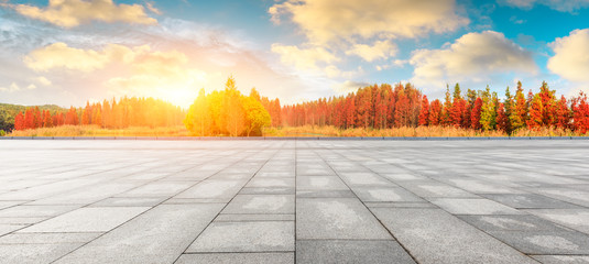 Empty square floor and beautiful colorful forest in autumn