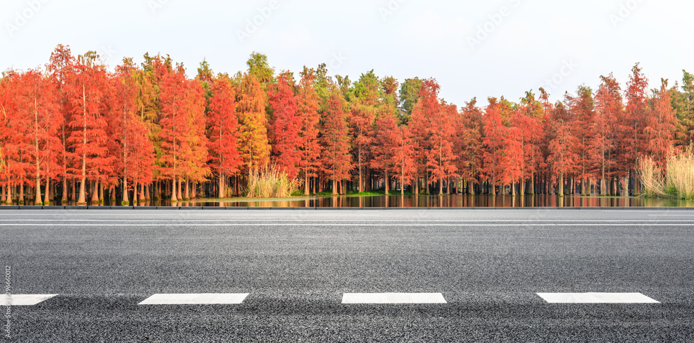 Empty asphalt road and beautiful colorful forest in autumn Stock Photo ...