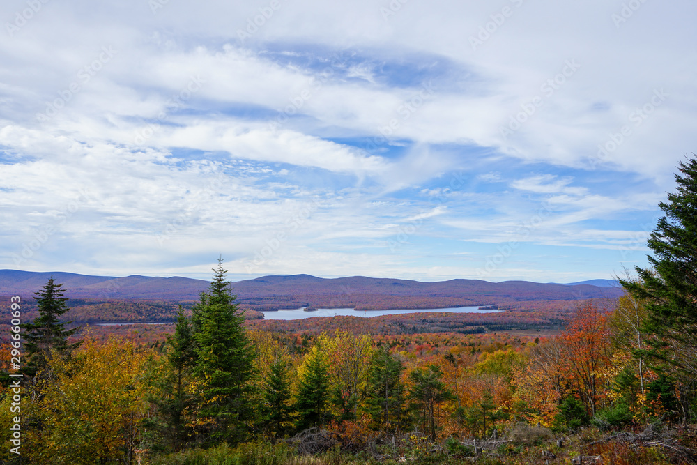 landscape during foliage season landscape during foliage season