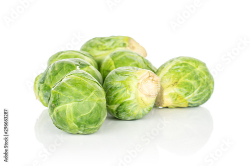 Group of six whole fresh green brussels sprout isolated on white background