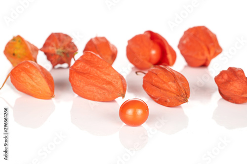 Group of ten whole fresh orange physalis isolated on white background