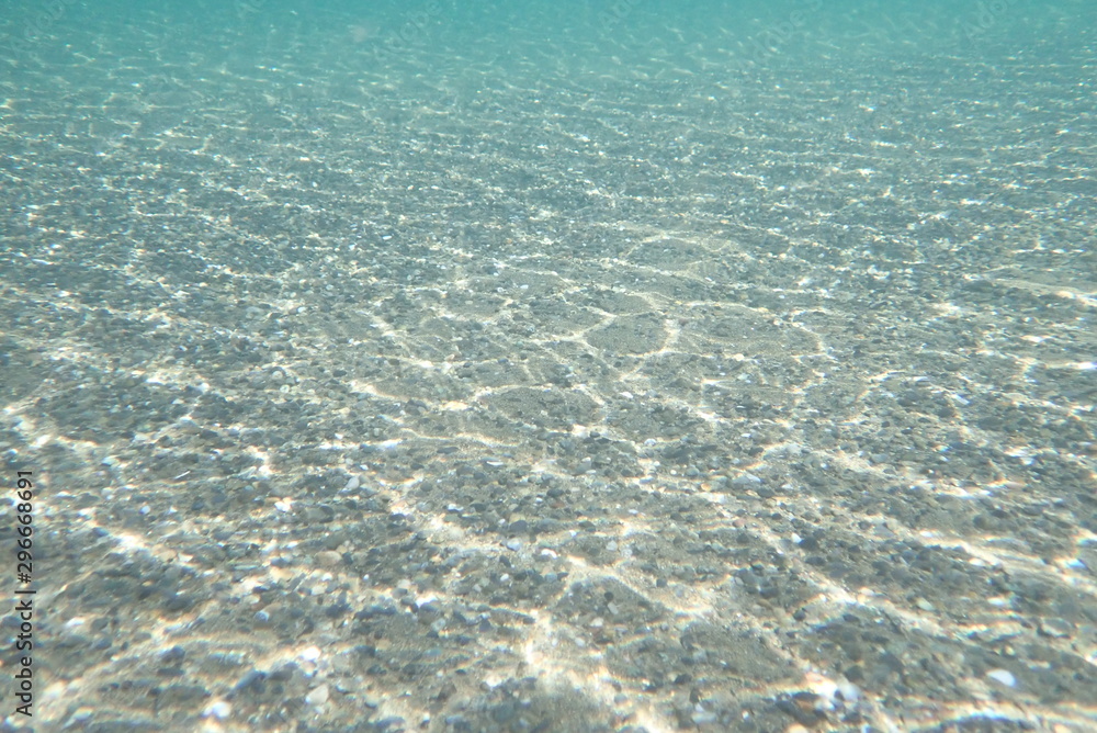 Obraz premium 海中写真