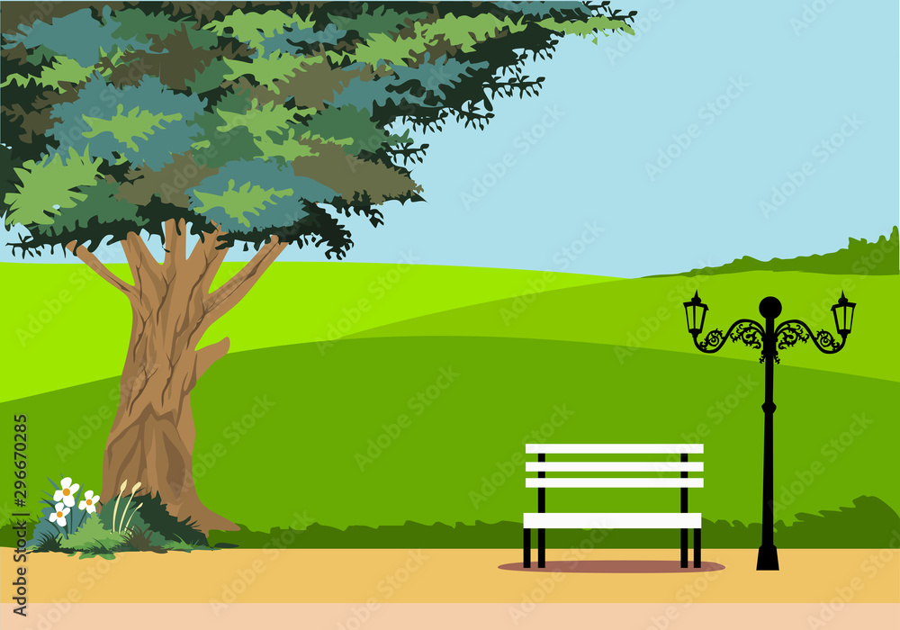 Fotografia park view for background and illustration image
